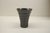 竜巻銀河 / Swirly Galaxy