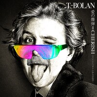 T-BOLAN「愛の爆弾＝CHERISH ～アインシュタインからの伝言～」ジャケット