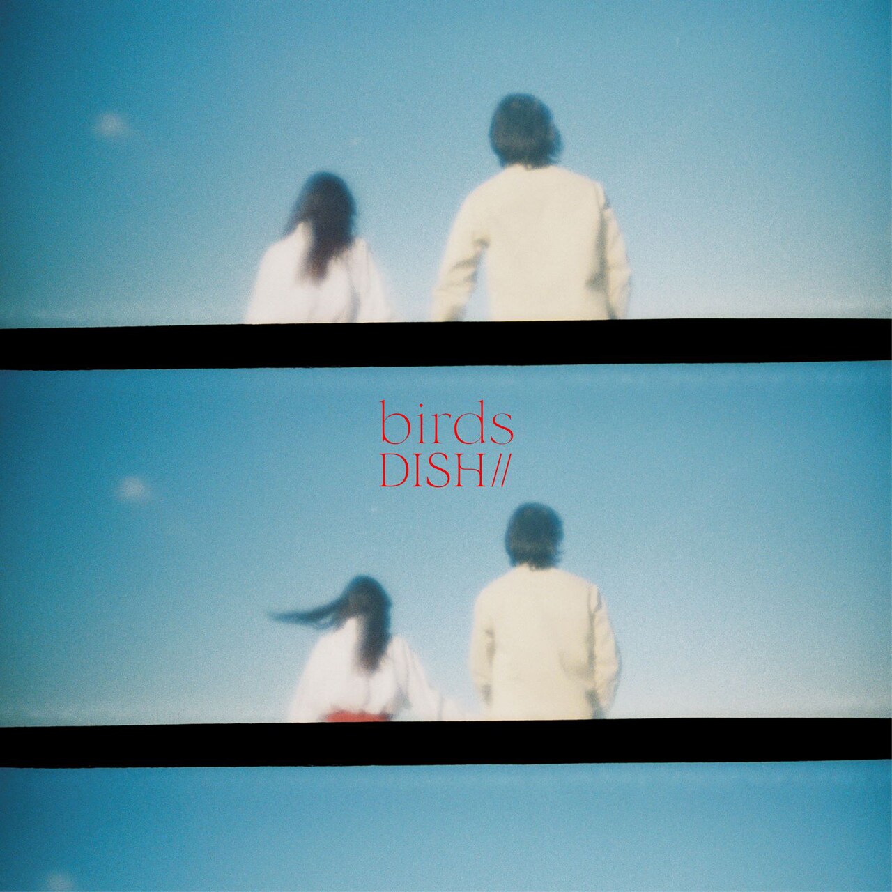 DISH//「birds (in 2022)」配信ジャケット - DISH//「birds」リテイク