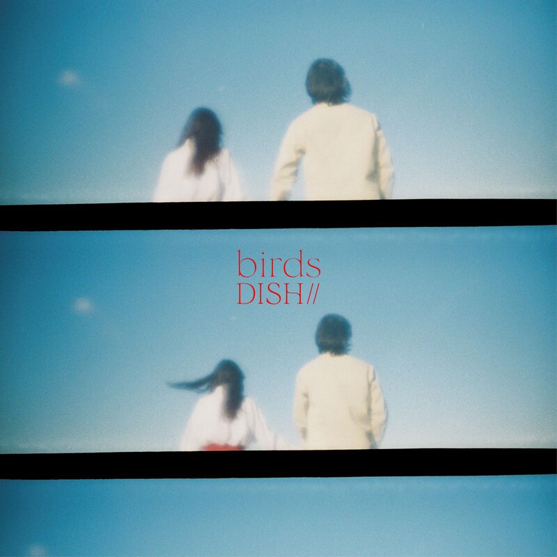 DISH//「birds (in 2022)」配信ジャケット