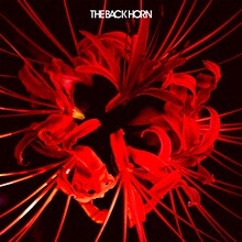 THE BACK HORN「ヒガンバナ」ジャケット