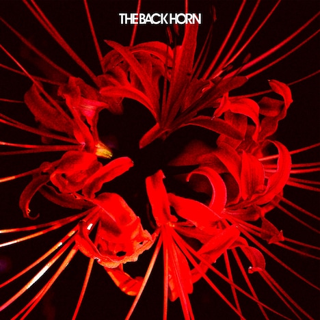 THE BACK HORN「ヒガンバナ」ジャケット