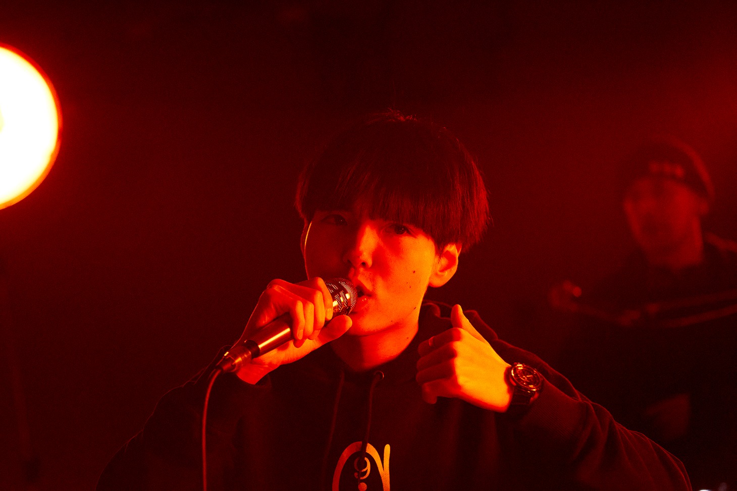 dodo