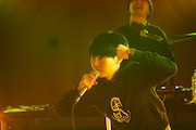 dodo
