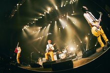 THE BAWDIES（撮影：山川哲矢）