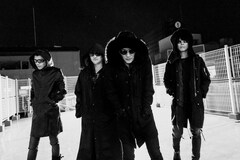 高野哲、吉田トオル、小林勝、照井仁の新バンドDISCO VOLANTEがアルバムリリース