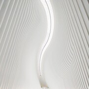 polly「Pray Pray Pray」ジャケット