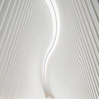 polly「Pray Pray Pray」ジャケット