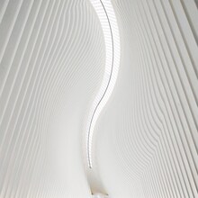 polly「Pray Pray Pray」ジャケット