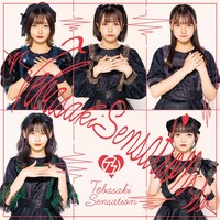 手羽先センセーション「手羽先センセーション」Type Cジャケット