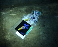 badmood × 9090 Rabbit Staker Packイメージ