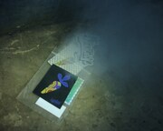 badmood × 9090 Rabbit Staker Packイメージ