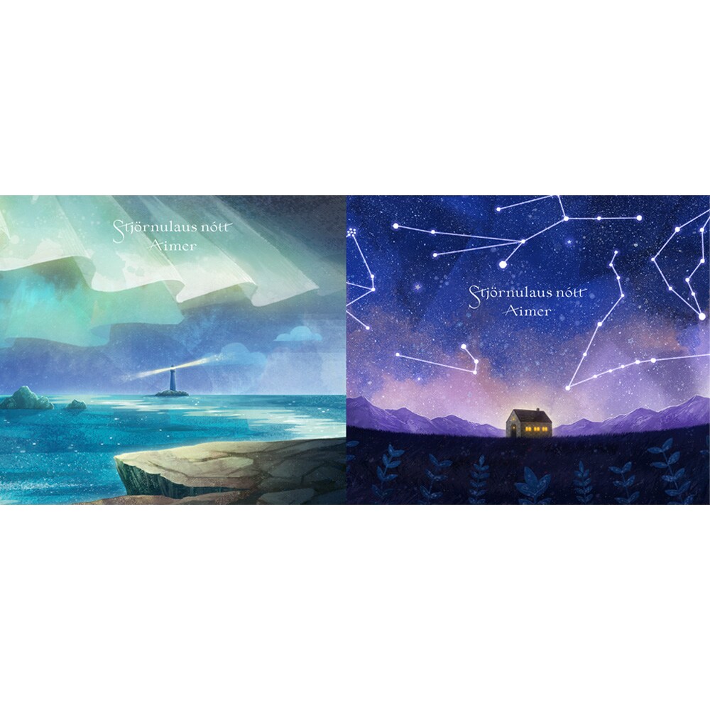 Aimerポスター　★★★超希少★★★　　■新品■　星の消えた夜に　レアVer. Aimerポスター 超希少 □新品□ 星の消え