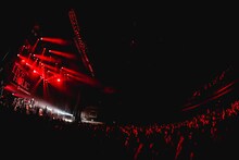 THE BACK HORN（撮影：渡邉一生）