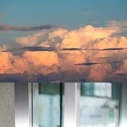 butajiと荒井優作のbutasakuが新曲配信、1stアルバムリリースも決定