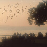 ザ・なつやすみバンド最新アルバム「NEO PARK」のジャケット。