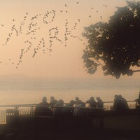 ザ・なつやすみバンド「NEO PARK」ジャケット