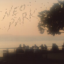 ザ・なつやすみバンド最新アルバム「NEO PARK」のジャケット。