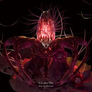 Cö shu Nie「Flos Ex Machina」ジャケット