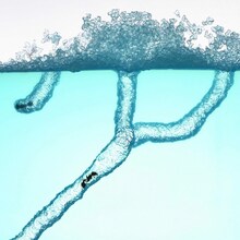 Kroi「Small World」配信ジャケット