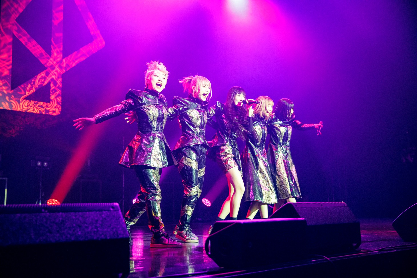 ASP（Photo by sotobayashi kenta）