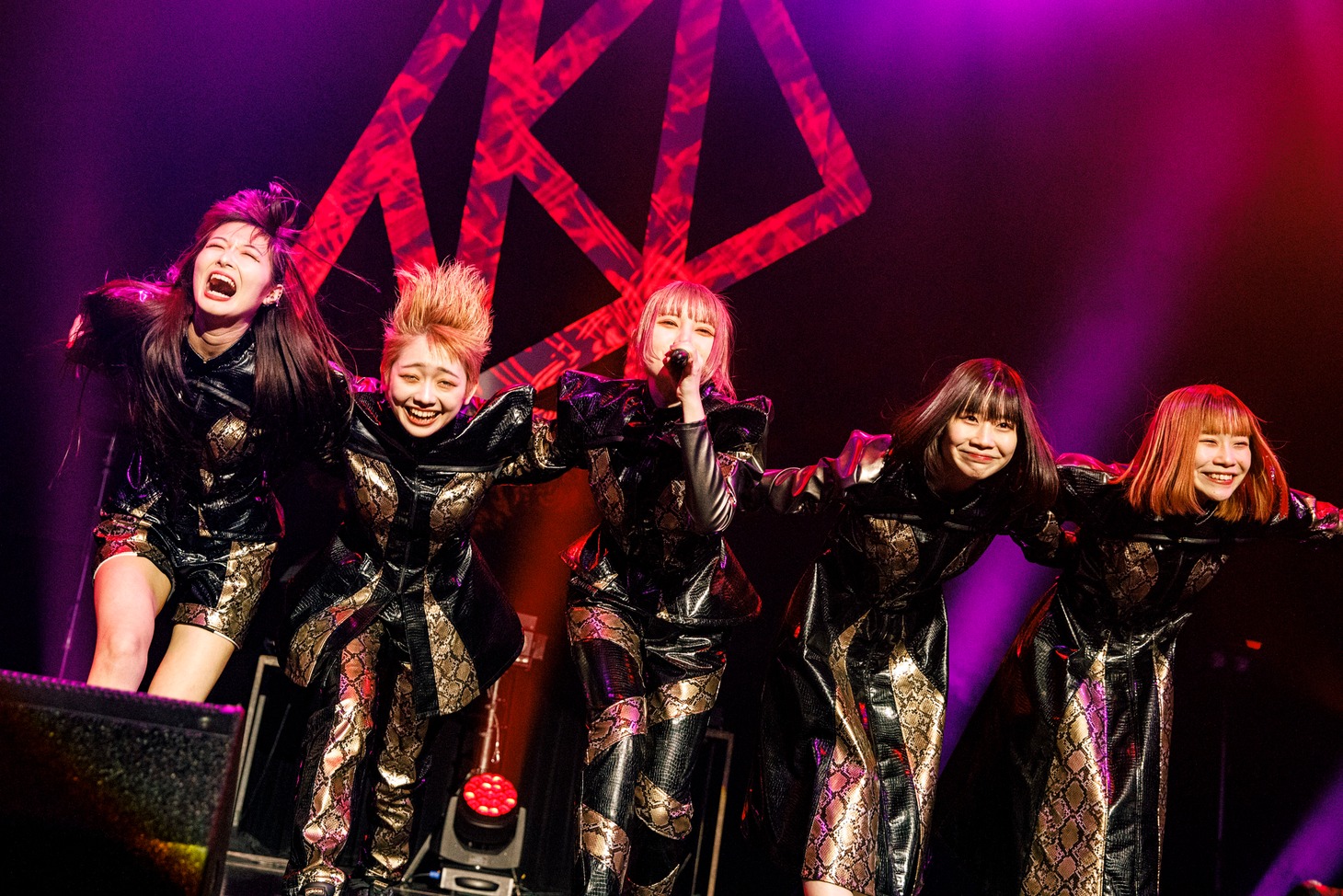 ASP（Photo by sotobayashi kenta）