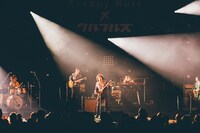 ウルフルズのステージの様子。（撮影：西槇太一）