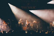 ウルフルズのステージの様子。（撮影：西槇太一）