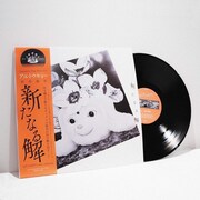 ayU tokiO「新たなる解」アナログ盤ジャケット