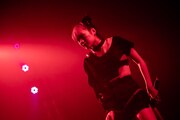 タマネ(Photo by Masayo)