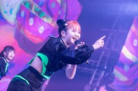 タマネ（Photo by Masayo）