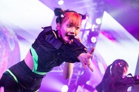 タマネ（Photo by Masayo）