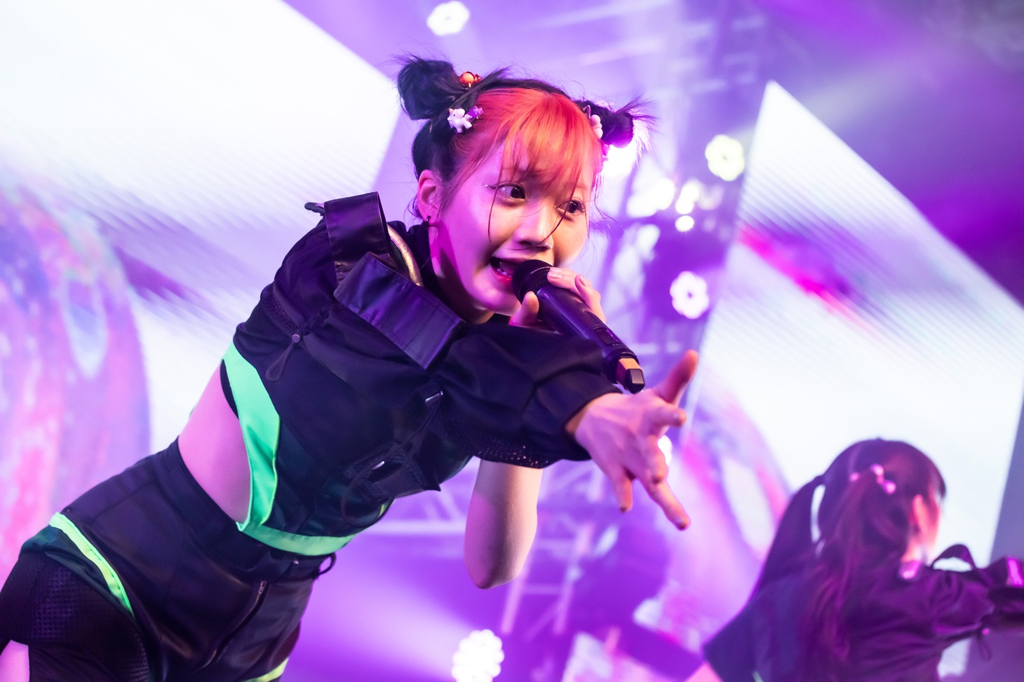タマネ（Photo by Masayo）