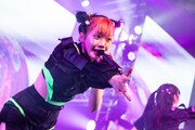タマネ(Photo by Masayo)