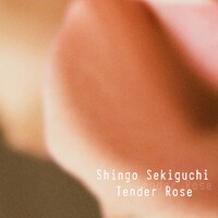 関口シンゴ「Tender Rose」配信ジャケット