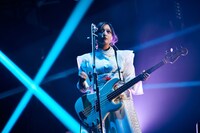 やしちゃん（B）（撮影：中野修也）