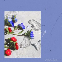 Ayumu Imazu「破片」配信ジャケット