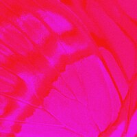 Daoko & Yohji Igarashi「escape」ジャケット