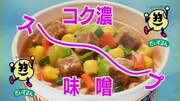 日清食品「カップヌードル 味噌」CM「MISO食べたい 篇」より。