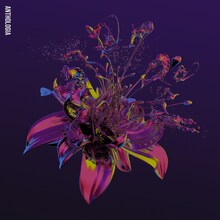 THE BACK HORN「アントロギア」初回限定盤Aジャケット