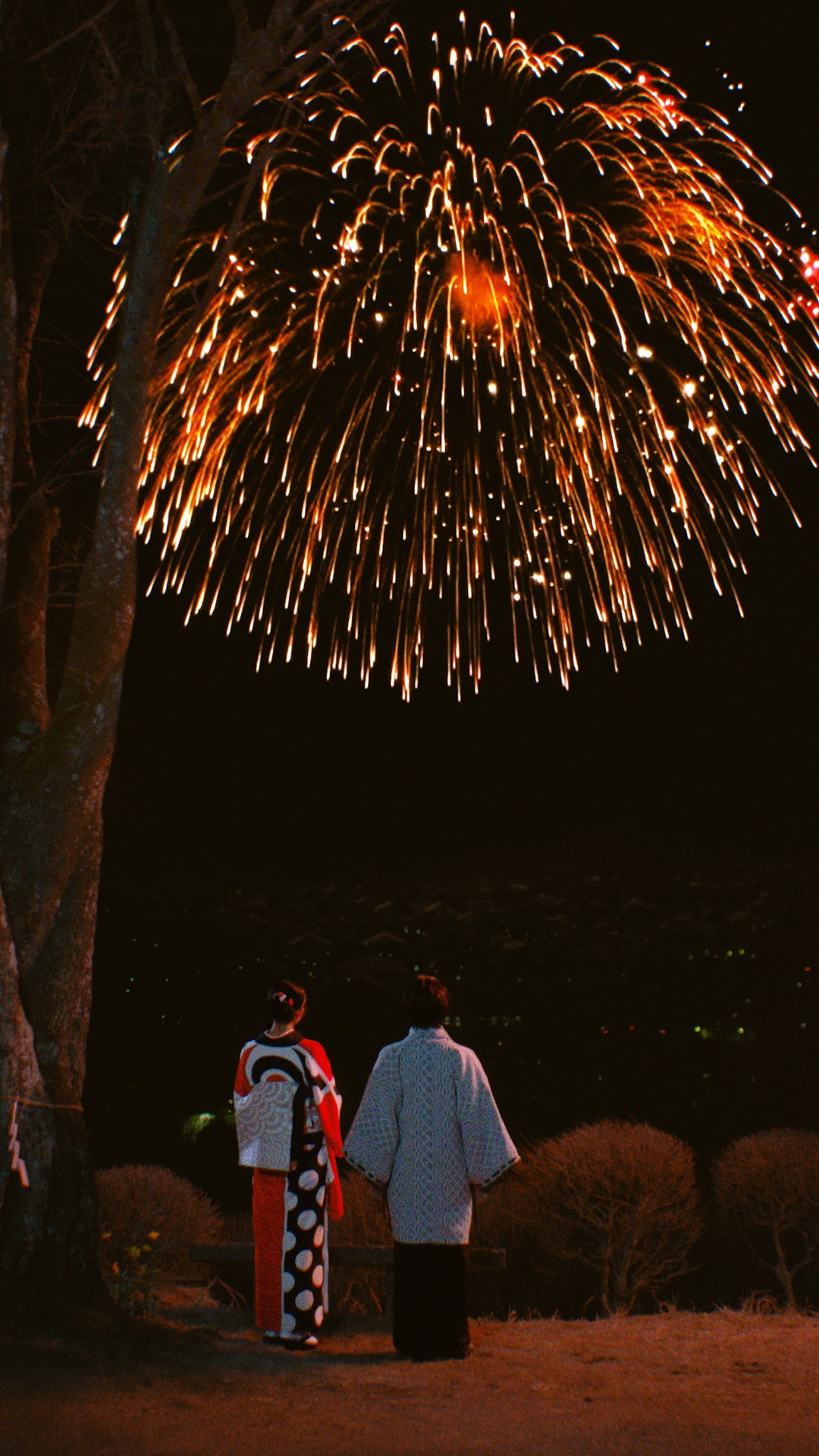 「夢の雫と星の花」より。