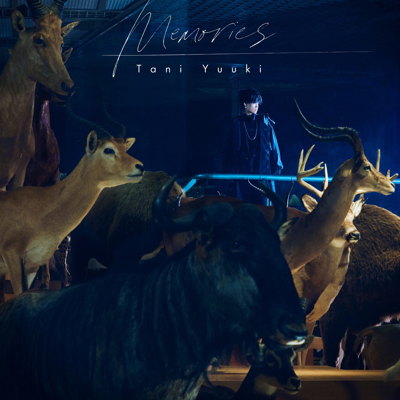 Tani Yuuki「Memories」ジャケット