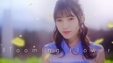 石原夏織「Blooming Flower」ミュージックビデオより。