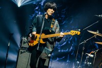 Saucy Dogの秋澤和貴（B）。（撮影：白石達也）