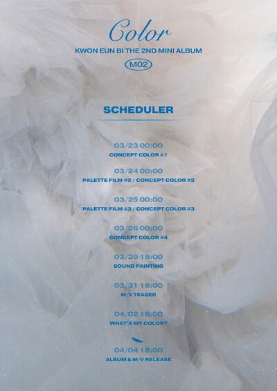 クォン・ウンビの活動スケジュールをまとめたビジュアル。