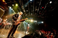 Non Stop Rabbit（Photo by MAYUMI）