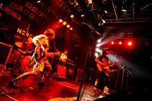 ネクライトーキー（Photo by MAYUMI）