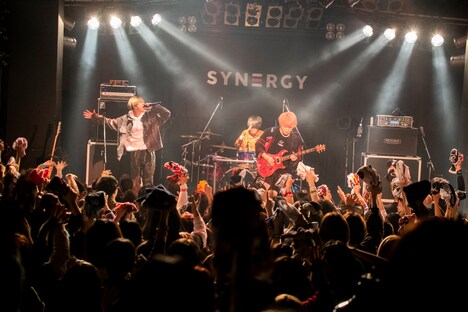 Non Stop Rabbit（Photo by MAYUMI）