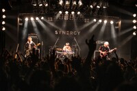 Non Stop Rabbit（Photo by MAYUMI）