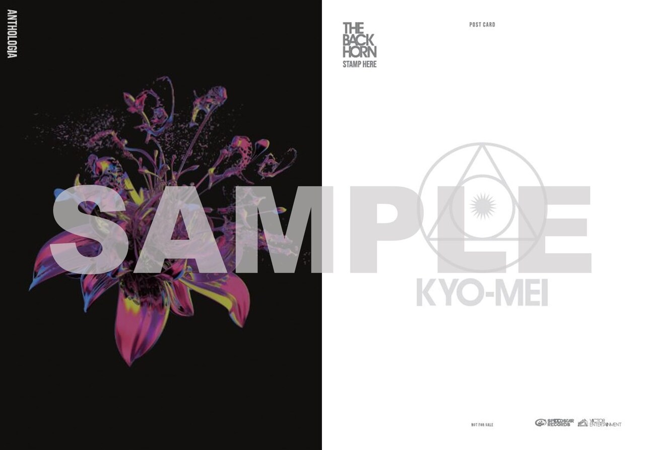 THE BACK HORN アルバム　まとめ売り THE BACK HORN まとめて アルバムCD